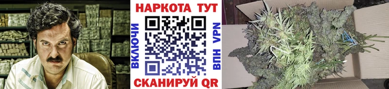 ГАШИШ Сосновый Бор