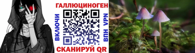 блэк спрут вход  где найти наркотики  Сосновый Бор  Псилоцибиновые грибы мицелий 